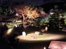 Light up at Kodaiji * 600 x 450 * (182KB)